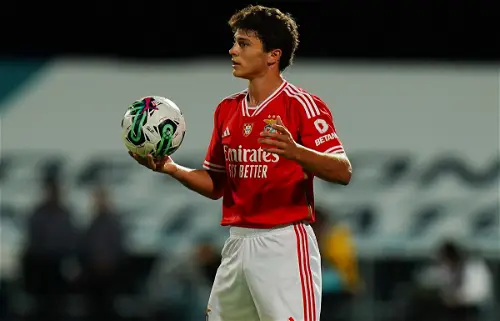 Joao-Neves